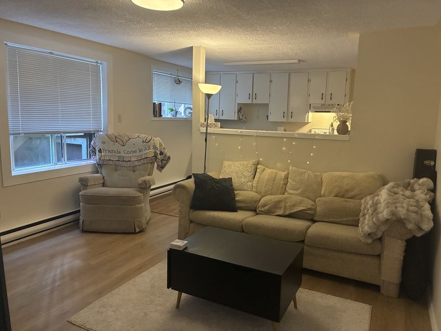 Bright living room with sofa and large window